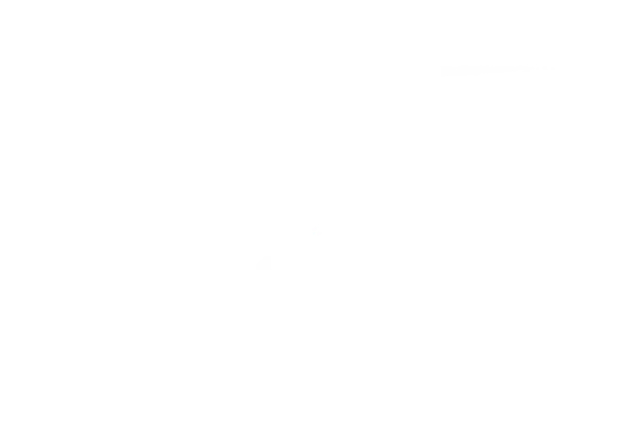 D Irty Dancing Logo WHITE