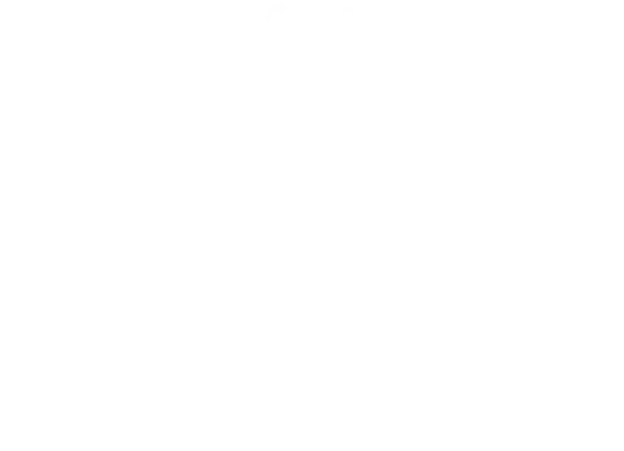 DSF logo Hvid