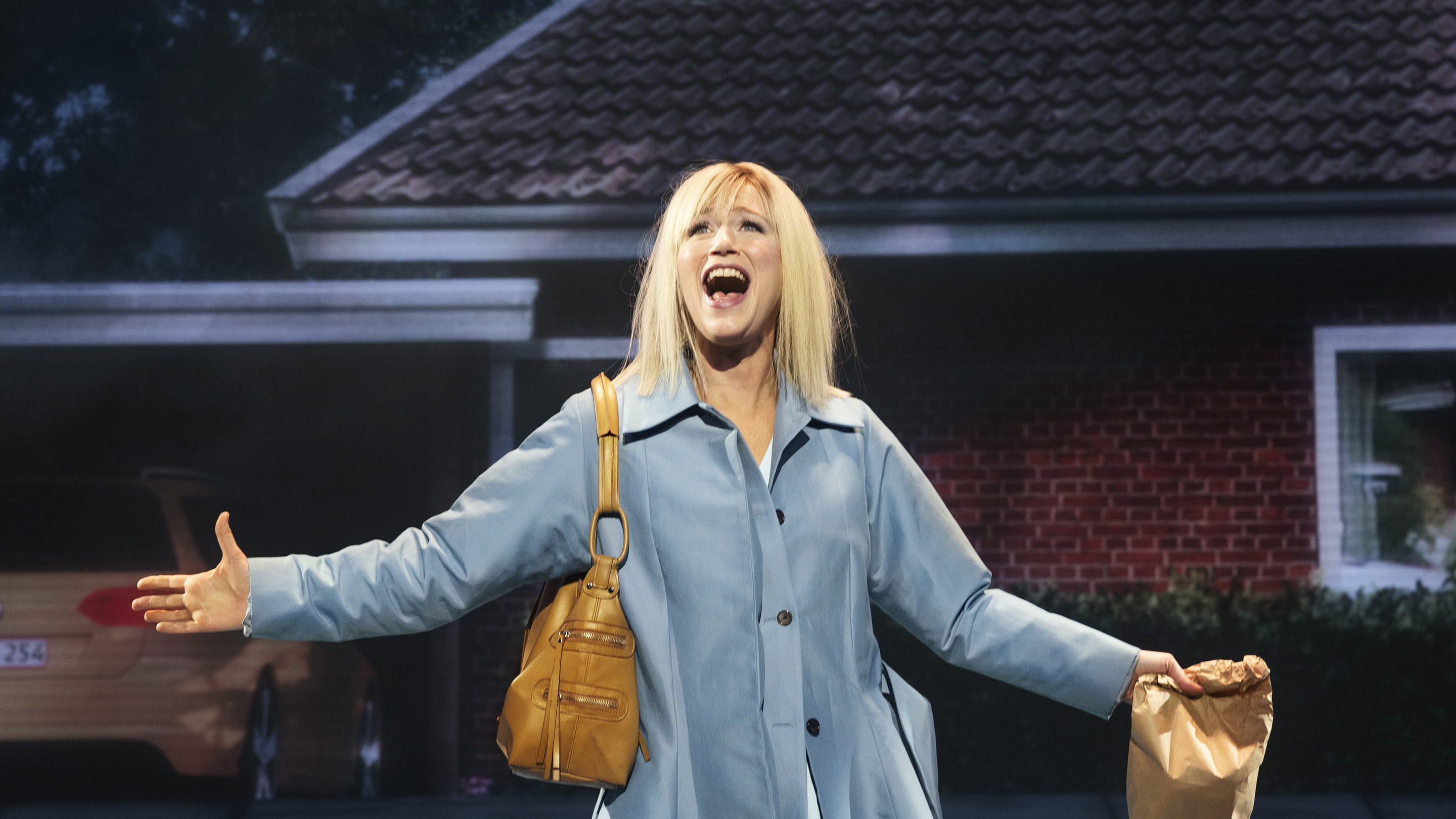 Den skaldede frisør 02